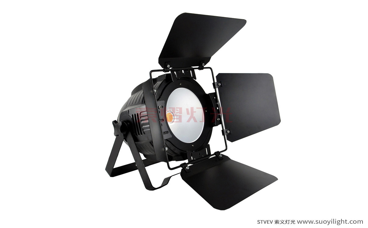 kyiv200W COB LED Par Light