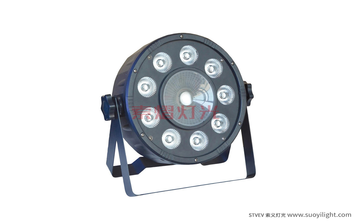 kyiv9+1 LED Plastic Par Light