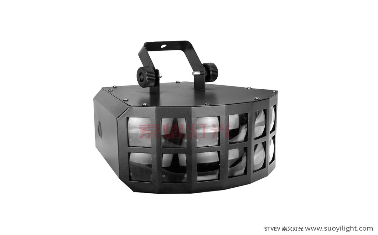 kyivLED Double Butterfly Light