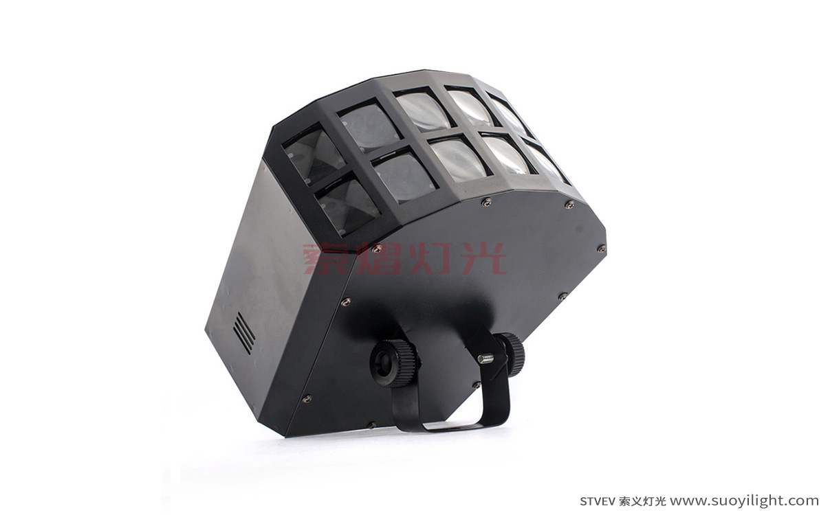 kyivLED Double Butterfly Light