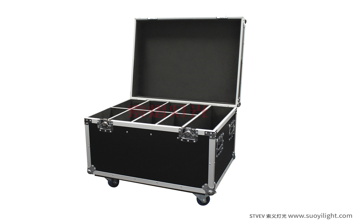 kyiv8in1 Par Light Flight Case