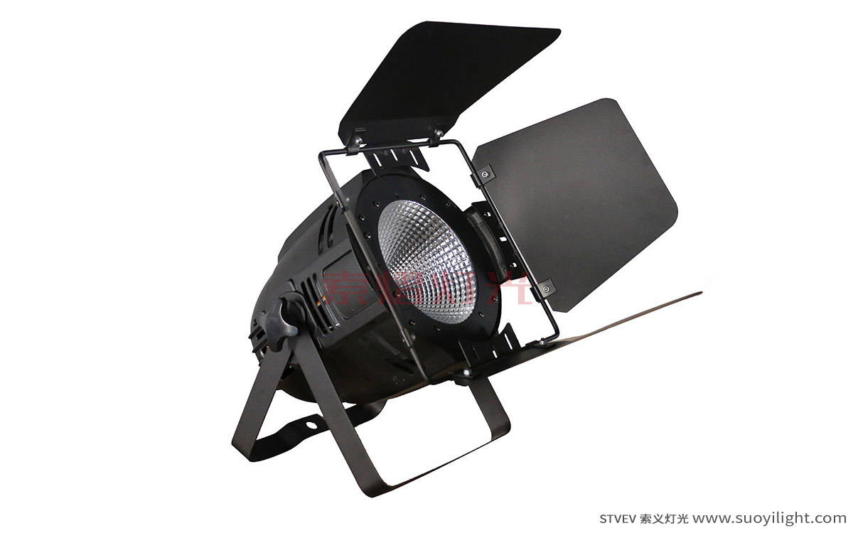 kyiv100W LED COB Par Light