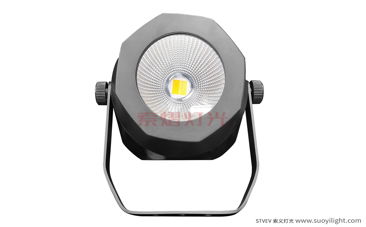 kyiv200W Waterproof COB Par Light